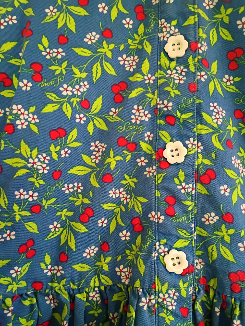 Blue Floral Button-Front Kids Dress with Peter Pan Collar